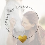 Logo of the podcast Au Coeur du Calme Podcast Au Coeur du Calme