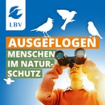 Logo of the podcast Ausgeflogen Podcast Ausgeflogen