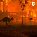 Logo of the podcast Australia Wildfires Podcast Podcast Australia Wildfires Podcast