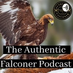 Logo of the podcast Authentic Falconer
Falconry Podcast Podcast Authentic Falconer
Falconry Podcast