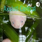 Logo of the podcast Axolotl Central Podcast Axolotl Central