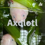 Logo of the podcast Axolotl Podcast Axolotl