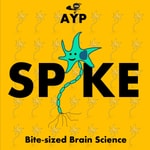 Logo of the podcast AYP Spike Podcast AYP Spike