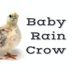 Logo of the podcast Baby Rain Crow Podcast Baby Rain Crow