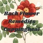 Logo of the podcast Bach Flower Remedies Cuppingheal Podcast Bach Flower Remedies Cuppingheal