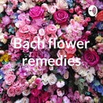Logo of the podcast Bach flower remedies Podcast Bach flower remedies