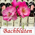 Bachblüten Therapie Podcast Bachblüten Therapie