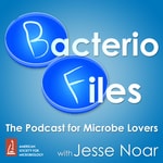 BacterioFiles BacterioFiles
