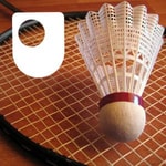 Logo of the podcast Badminton: Fitness and Training - for iPad/Mac/PC Podcast Badminton: Fitness and Training - for iPad/Mac/PC