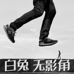 Logo of the podcast 白兔无影角 - 摄影与摄影之外 Missing podcast logo