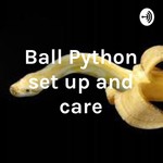 Logo of the podcast Ball Python set up and care Podcast Ball Python set up and care