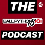 Logo of the podcast BALL PYTHONS 101 Podcast BALL PYTHONS 101