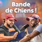 Bande de Chiens !