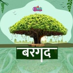 Logo of the podcast Bargad Podcast Bargad