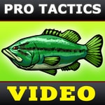 Podcast Bass Fishing Tactics Videos [BassFishin.Com]