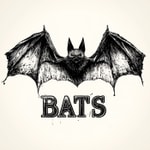 Logo of the podcast BATS Podcast BATS
