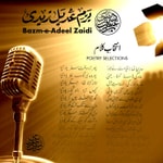 Logo of the podcast BAZM-E-ADEEL ZAIDI Podcast BAZM-E-ADEEL ZAIDI
