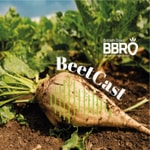 Logo of the podcast BBRO BeetCast Podcast BBRO BeetCast