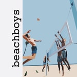 Logo of the podcast beachboys Missing podcast logo
