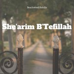 Logo of the podcast Beachwood Kehilla She'arim B'Tefillah Podcast Beachwood Kehilla She'arim B'Tefillah