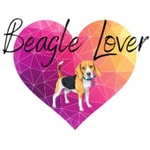 Logo of the podcast Beagle Lover Podcast Beagle Lover