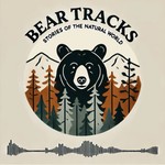 Logo of the podcast Bear Tracks: Stories of the Natural World Podcast Bear Tracks: Stories of the Natural World