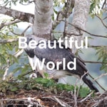 Logo of the podcast Beautiful World Podcast Beautiful World