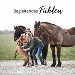 Logo of the podcast Begleitendes Fühlen Podcast Begleitendes Fühlen
