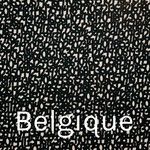 Logo of the podcast Belgique Podcast Belgique