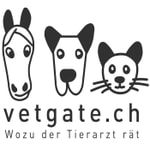 Logo of the podcast Bellos & Bellas - der vetgate Hundepodcast Podcast Bellos & Bellas - der vetgate Hundepodcast