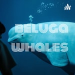 Logo of the podcast beluga whales Podcast beluga whales