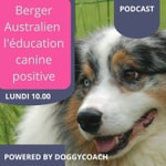 Logo of the podcast AUSSIE PODCAST RENEW Podcast AUSSIE PODCAST RENEW