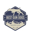 Logo of the podcast Best Gun Dogs podcast Podcast Best Gun Dogs podcast