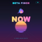 Logo of the podcast Beta Finch - ServiceNow - NOW - EN Podcast Beta Finch - ServiceNow - NOW - EN