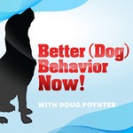 Better (Dog) Behavior Now! Podcast Better (Dog) Behavior Now!