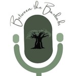 Logo of the podcast Between the Baobabs Podcast Between the Baobabs