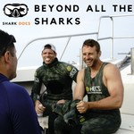 Beyond All the Sharks Podcast Beyond All the Sharks