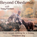 Logo of the podcast Beyond Obedience | Dog Training, Dog Behaviour Training, Scared Dogs, Reactive Dogs 