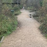 Podcast Beyond Reason