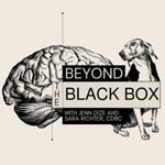 Logo of the podcast Beyond the Black Box Podcast Beyond the Black Box