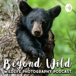 Logo of the podcast Beyond Wild: Wildlife Photography Podcast Podcast Beyond Wild: Wildlife Photography Podcast