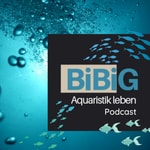 Logo of the podcast BiBiG - Aquaristik leben Podcast BiBiG - Aquaristik leben