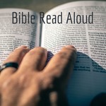 Logo of the podcast Bible Read Aloud Podcast Bible Read Aloud