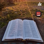 Logo of the podcast Biblia Audio Podcast Podcast Biblia Audio Podcast