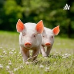Podcast Bien être animal 