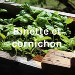 Logo of the podcast Binette et cornichon Podcast Binette et cornichon