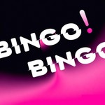 Logo of the podcast BingoBingo Missing podcast logo