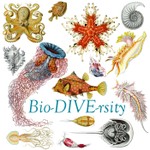 Bio-DIVE-rsity Podcast Bio-DIVE-rsity