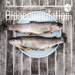 Logo of the podcast Bioaccumulation Podcast Bioaccumulation