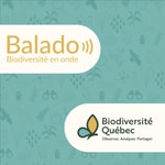 Logo of the podcast Biodiversité en onde Podcast Biodiversité en onde